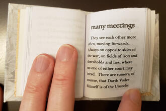 the open pages of a book with laced-on boards