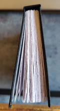 head of a casebound book